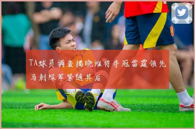 TA球员调查揭晓谁将夺冠雷霆领先马刺绿军紧随其后